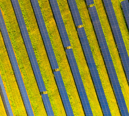 Solar thermal collector from above. Solar panels produce green, enviromentaly friendly energy from the sun.の写真素材