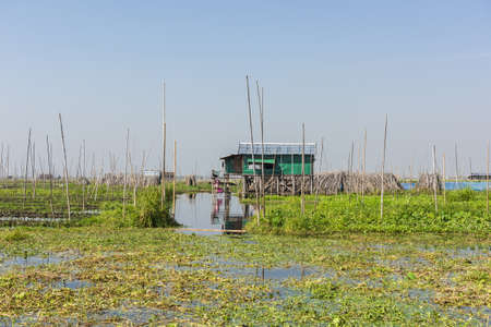 Floating cucumber and other vegetables garden with a barn on Inle lake in Myanmarの写真素材
