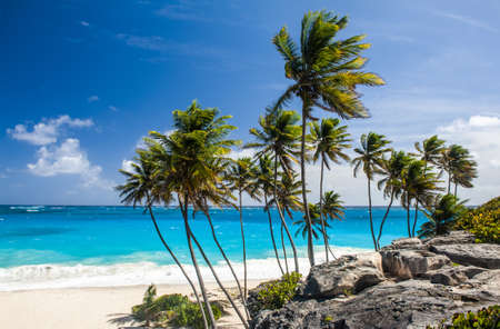 Bottom Bay is one of the most beautiful beaches on the Caribbean island of Barbados. It is a tropical paradise with palms hanging over turquoise Atlantic oceanの写真素材