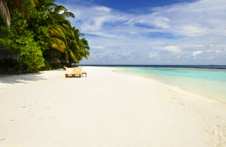 Beautiful tropical paradise in Maldives with coco palms hanging over the white beach and turquoise seaの写真素材