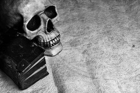 Ancient diary lying together with  human skull on an old grungy parchment.の写真素材
