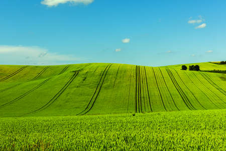 Beautiful rolling hills in Southern Moravia in the Czech Republic. Fields are beautifully wavy which...