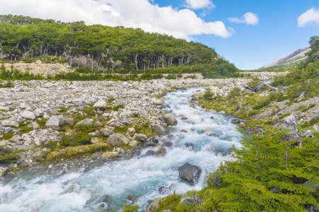 Beautiful swift brook on the track to Glaciar Piedras Blancas in Los Glaciares National park,...