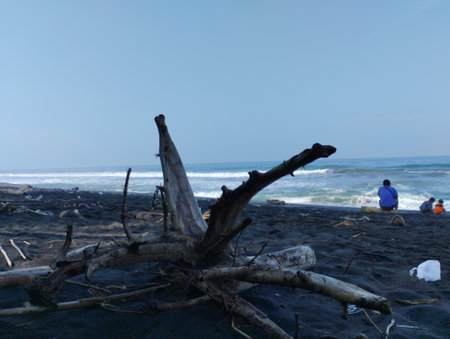 outdoor photos during the day with beach backgroundの写真素材
