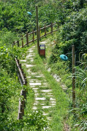 Country roadの写真素材