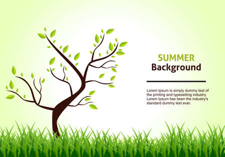 Summer Landscape. Tree on a Background of Green Grass. Vector Illustration.のイラスト素材