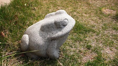 Stone frog - garden decorationの写真素材