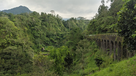 Plunyon Bridge which is over the Kalikuning river with beautiful and amazing views is located on the...