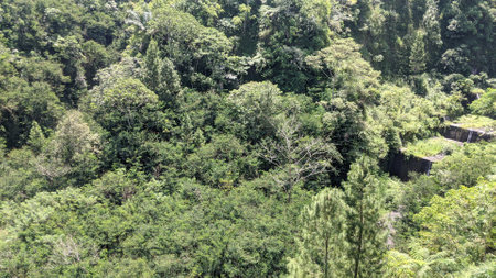 Waterfall in the jungle. Aerial view of a waterfall in the jungle.