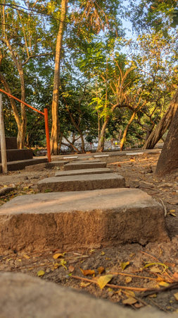 A path of stone steps leads through a park with tall trees and green grass. The sun shines through the leaves, casting dappled shadows on the ground.の写真素材