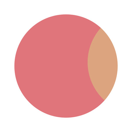 A circular shape with a salmon pink color and a crescent shaped section in a light peach color.のイラスト素材