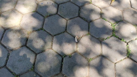 Close-up of a sidewalk paved with hexagonal concrete blocks, showing patches of grass growing...
