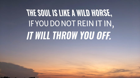 An inspirational quote about self-control, The soul is like a wild horse, if you do not rein it in,...