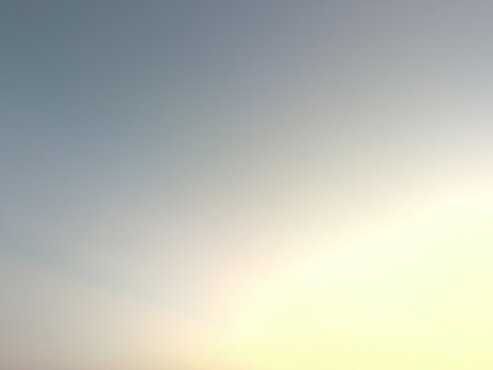 A soft sky gradient transitions from a pale blue-grey at the top to a bright, almost white yellow at...