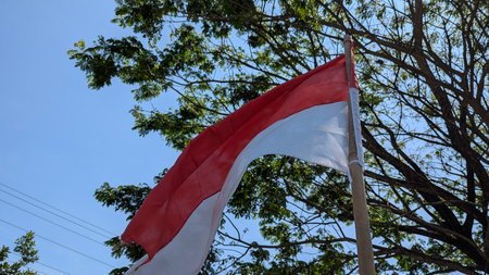 The Indonesian flag (Merah Putih) proudly flutters on a pole against a brilliant blue sky, framed by green tree branches, symbolizing national spirit ahead of Independence Day.の写真素材