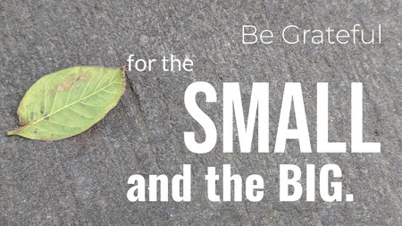 A close-up of a cracked, gray concrete surface with a few autumn leaves scattered across it. A quote about gratitude is superimposed.の写真素材