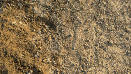 A top-down, high-angle view of a sand and dirt texture. The ground is a mix of small stones,...