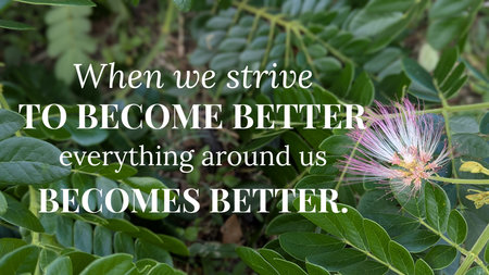 A motivational image with text overlay on a background of green leaves and a pink flower. The text reads When we strive to become better everything around us becomes better.の写真素材