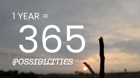 A panoramic image with a blurry foreground of a small stick, a sunrise on the horizon, and text overlay that reads &quot;1 YEAR = 365 POSSIBILITIES.&quot;の写真素材