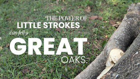 Little strokes have the power to fell great oaks. Consistent small efforts yield massive results....