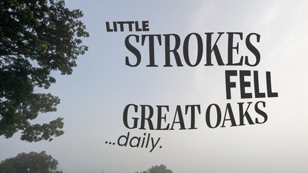 Little strokes fell great oaks...daily. This proverb in bold black text is a powerful reminder of...