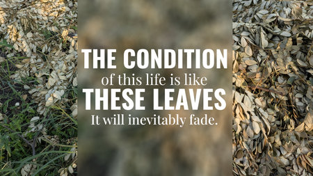 A pile of withered leaves and twigs lies on the ground, featuring the quote, "THE CONDITION of this life is like THESE LEAVES It will inevitably fade." This reflects on life's brevity and impermanence.の写真素材