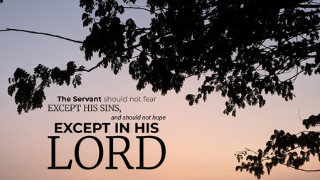 Inspirational quote over a tranquil sunrise sky framed by a dark tree silhouette emphasizing the...