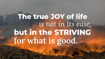 An inspirational quote about finding joy, purpose, meaning not in ease, but through striving for...