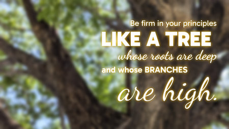 A motivational quote focuses on principles, firmness, deep roots, high branches. Text is overlaid on...