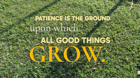 A quote &quot;Patience is the ground upon which all good things grow.&quot; Bold text is placed over a vibrant green grass field, emphasizing the concept of stable foundation, organic growth.の写真素材