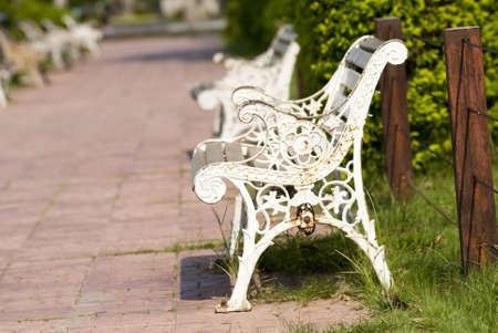 White chair in parkの写真素材