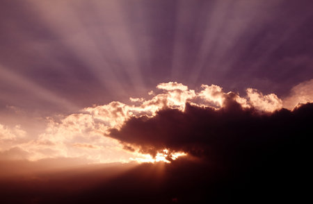 sun rays