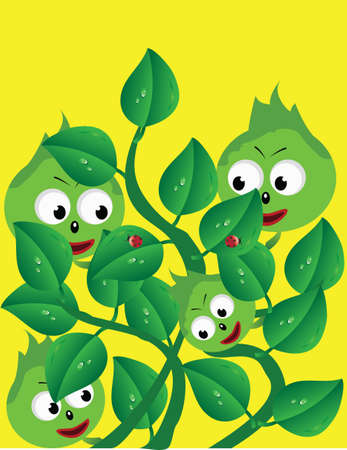 Humorous picture immature berries in the bush. Vector.のイラスト素材