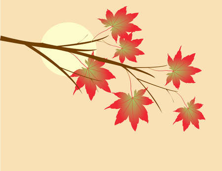 Autumn leaves on a sunny dayのイラスト素材