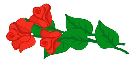 Big and beautiful bouquet of roses.のイラスト素材