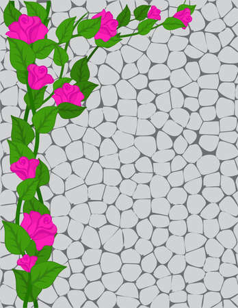  Curly on the brick wall of a rosebushのイラスト素材