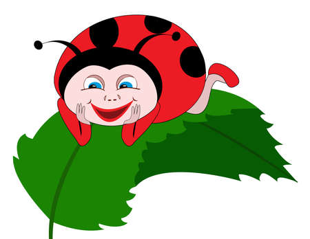 Ladybug on green leafのイラスト素材