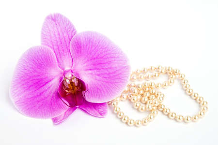 Orchid with a pearl necklace.の写真素材