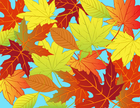 Autumn leaf background のイラスト素材