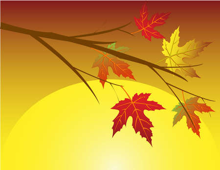 Autumn leaf background のイラスト素材
