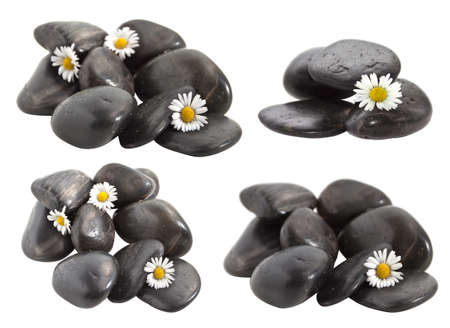 Black decorative stones with flowers daisies.の写真素材