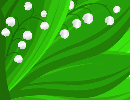 	Lily of the valleyのイラスト素材