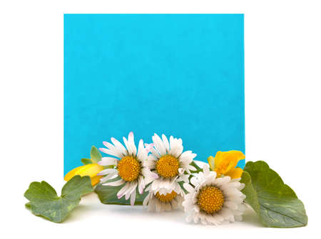 blue space for your text with a bouquet of fresh flowersの写真素材