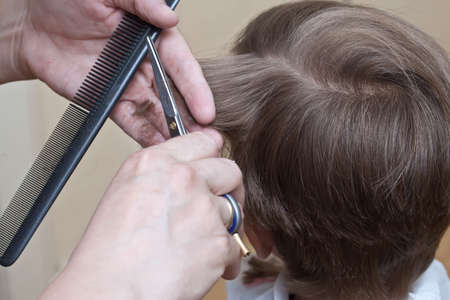 cutting hair at the barberの写真素材