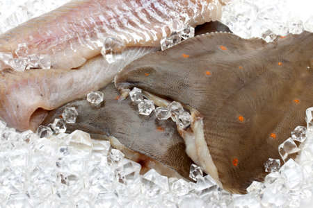 Fresh flounder on ice closeupの写真素材