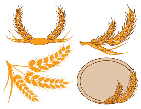 ear of wheat in a wreathのイラスト素材