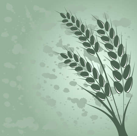 Ear of wheat in the grange background のイラスト素材
