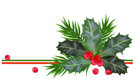 Christmas and New Year card with holly leaves and berries のイラスト素材