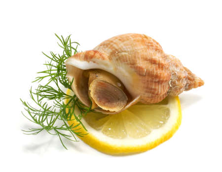 whelks with dill and lemon on a white background の写真素材