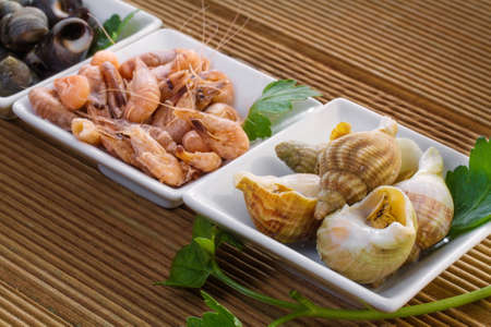 Sea shells with herbs on a wooden backgroundの写真素材